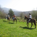 Paseos a caballo en Satué