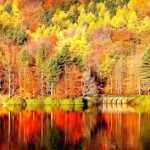 imagen otoño pirineo aragones